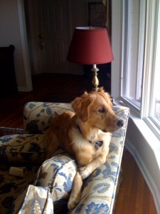 What are we going to do next Mom?