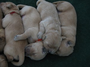 Arms over each other