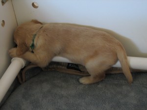 Sleeping on the Rails again