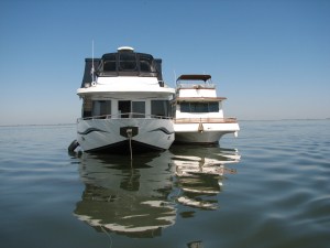 BigDog and Animal House